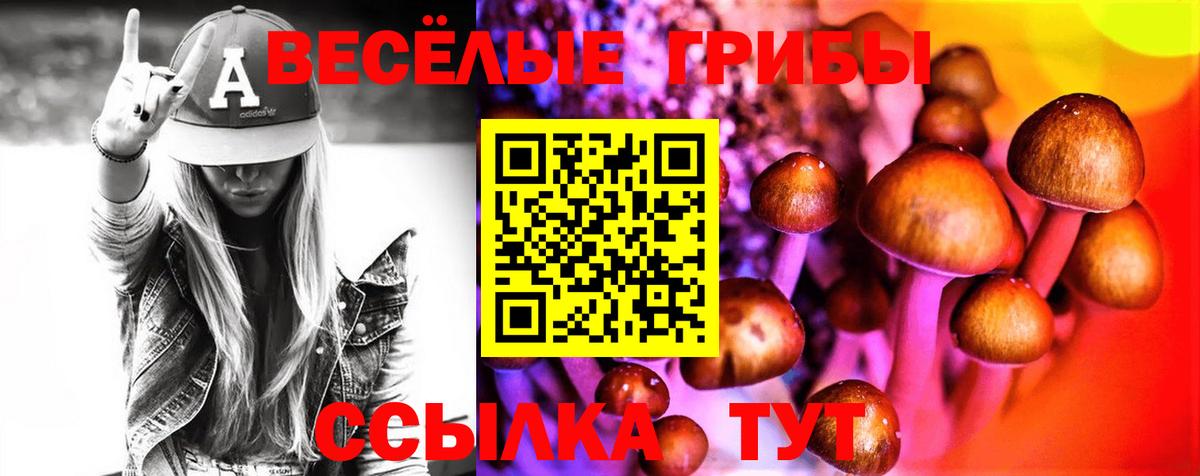 Псилоцибиновые грибы Psilocybe  Вход с VPN  Курчалой 